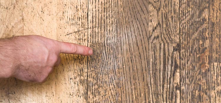 Wood Door Scratch Repair in Lafayette